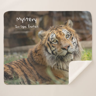 Couverture Sherpa Mystère - 