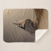Couverture Sherpa Nuthatch_Sherpa_Blanket (Devant (Horizontal))