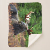 Couverture Sherpa Oie (Devant)