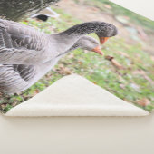 Couverture Sherpa Oie (3/4)