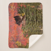 Couverture Sherpa Oie Taureau debout Dans Red Dwarf Birch (Devant)