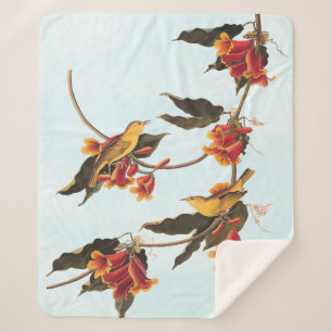 Couverture Sherpa Oiseau de la Paruline de Rathbone sur Crossvine Fl