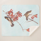 Couverture Sherpa Oiseaux de brume de riz d'Audubon ou oiseaux Bobol (Devant (Horizontal))