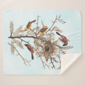Couverture Sherpa Oiseaux d'oriole du verger d'Audubon dans un criqu (Devant (Horizontal))