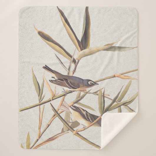 Couverture Sherpa Oiseaux volants Vireo solitaire d'Audubon sur la c (Devant)