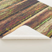 Couverture Sherpa Old wooden background painted green paint with cra (3/4)