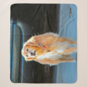 Couverture Sherpa Or (Devant)