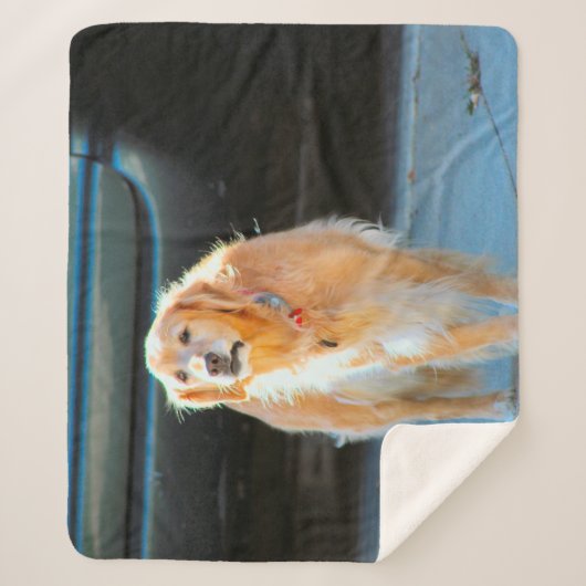 Couverture Sherpa Or (Devant)