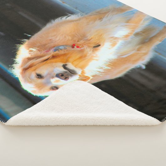 Couverture Sherpa Or (3/4)