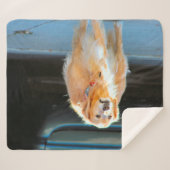 Couverture Sherpa Or (Devant (Horizontal))