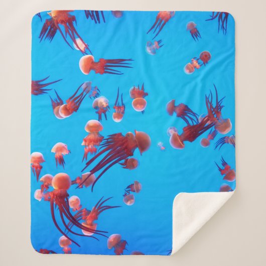 COUVERTURE SHERPA ORANGE JELLY FISH (Devant)