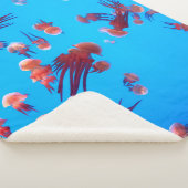 COUVERTURE SHERPA ORANGE JELLY FISH (3/4)