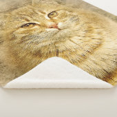 Couverture Sherpa Orange Tabby (3/4)