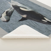 Couverture Sherpa Orca Et Calf (3/4)