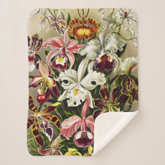 Couverture Sherpa Orchidées, Orchidée Denusblumen Ernst Haeckel