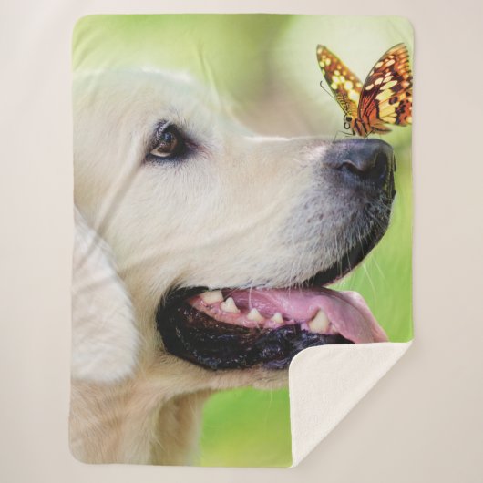 Couverture Sherpa Oreiller À Lancer Du Labrador Et Du Papillon (Devant)