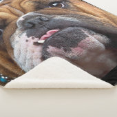 Couverture Sherpa Oreillers à lancer de Bulldog anglais (3/4)