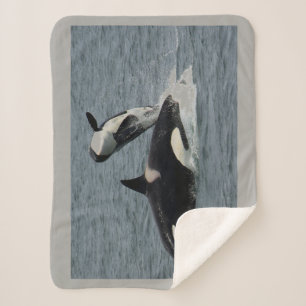 Couverture Sherpa Orque et veau