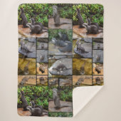 Couverture Sherpa Otters Dans Un Collage De Photo, (Devant)