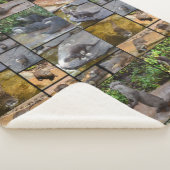 Couverture Sherpa Otters Dans Un Collage De Photo, (3/4)