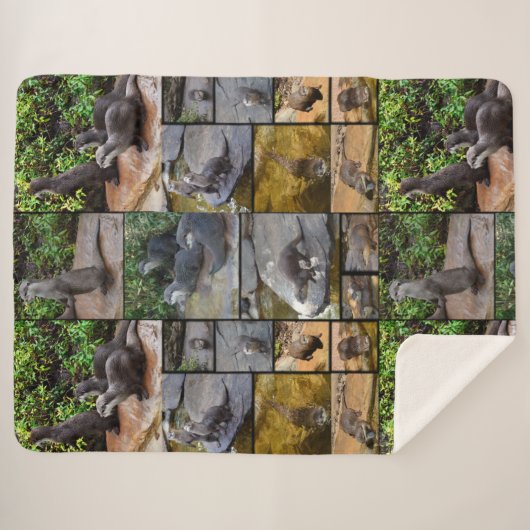 Couverture Sherpa Otters Dans Un Collage De Photo, (Devant (Horizontal))