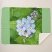 Couverture Sherpa Oublie-moi-non (Devant (Horizontal))