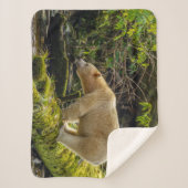 Couverture Sherpa Ours blanc esprit (Devant)