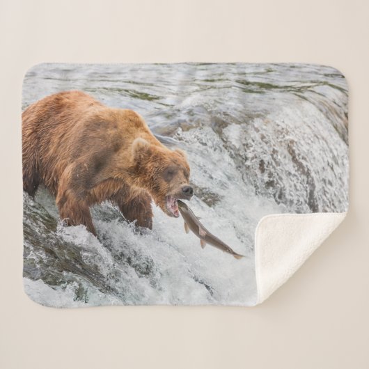 Couverture Sherpa Ours brun attrape un saumon rouge (Devant (Horizontal))