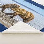 Couverture Sherpa Ours brun côtier (3/4)