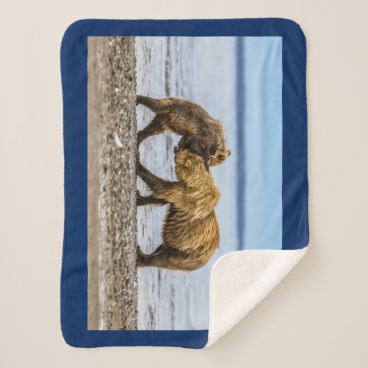 Couverture Sherpa Ours brun côtier (Devant)