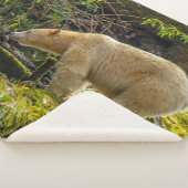 Couverture Sherpa Ours d'esprit blanc (3/4)