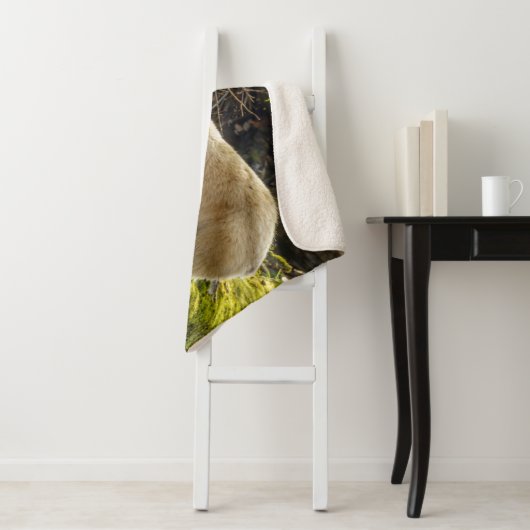 Couverture Sherpa Ours d'esprit blanc (En situation)