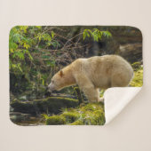 Couverture Sherpa Ours d'esprit blanc (Devant (Horizontal))