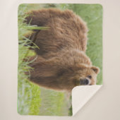 COUVERTURE SHERPA OURS KODIAK (Devant)
