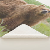 COUVERTURE SHERPA OURS KODIAK (3/4)