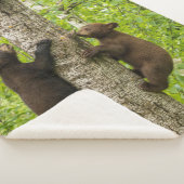 Couverture Sherpa Oursons de l'ours noir grimpant à l'arbre (3/4)