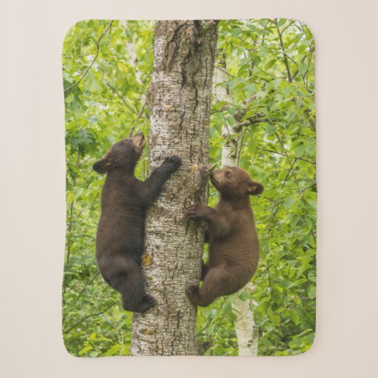 Couverture Sherpa Oursons de l'ours noir grimpant à l'arbre (Devant)