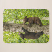 Couverture Sherpa Oursons de l'ours noir grimpant à l'arbre (Devant (Horizontal))