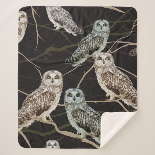 Couverture Sherpa owl sitting on a branch (Devant)