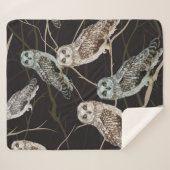 Couverture Sherpa owl sitting on a branch (Devant (Horizontal))