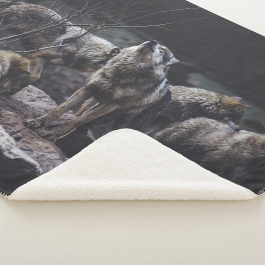 Couverture Sherpa Pack Wolf (3/4)