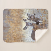 Couverture Sherpa Paire de cerfs de Mule sauvage | Californie (Devant (Horizontal))