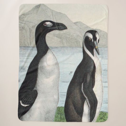Couverture Sherpa Paire de manchots - Serviette de plage (Devant)
