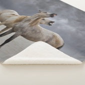 Couverture Sherpa Paire de Stallions de Cheval de Camargue, Sud de l (3/4)