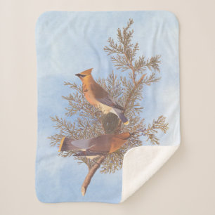 Couverture Sherpa Paire d'oiseaux de cirage de cèdre d'Audubon sur À