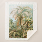Couverture Sherpa Palm Tree Ernst Haeckel (Devant)