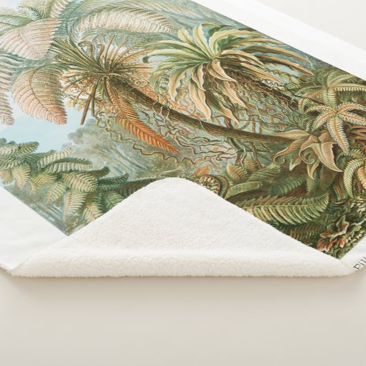 Couverture Sherpa Palm Tree Ernst Haeckel (3/4)