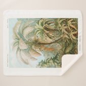 Couverture Sherpa Palm Tree Ernst Haeckel (Devant (Horizontal))