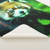 Couverture Sherpa Panda (3/4)