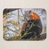 Couverture Sherpa Panda rouge (Devant (Horizontal))